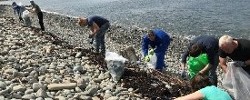 Shoreline Cleaning Bantry Volunteers Wanted